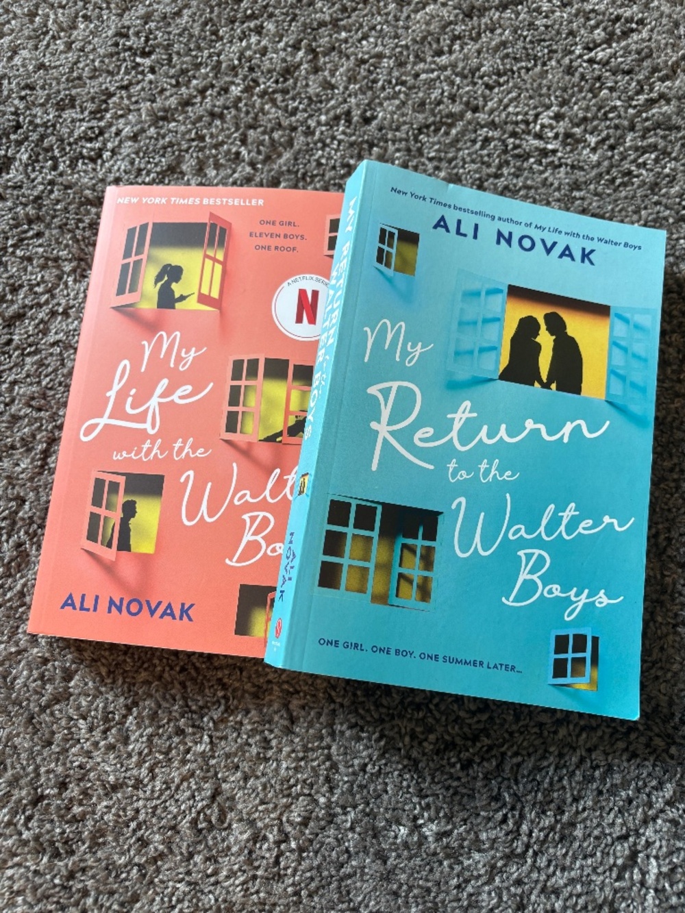 My Life With the Walter Boys series by Ali Novak - YA Contemporary Romance